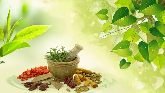 well health organic ayurveda